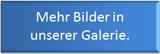 Mehr Bilder in unserer Galerie.